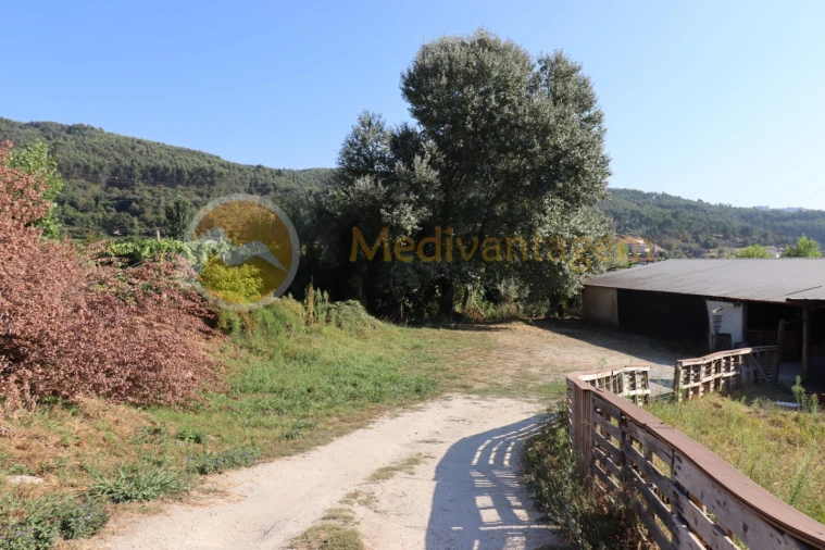 Terreno para Venda em Este (São Pedro e São Mamede) Foto 2