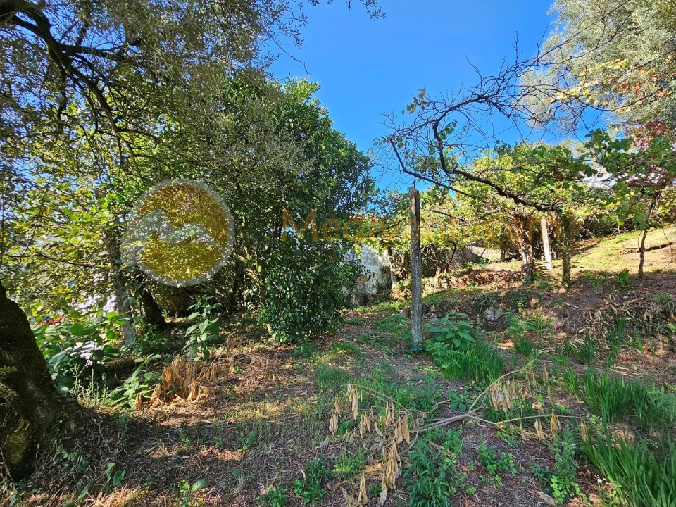 Moradia para Venda em Covelas Foto 4