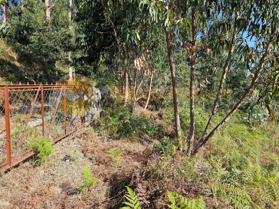 Moradia para Venda em Covelas Foto 13