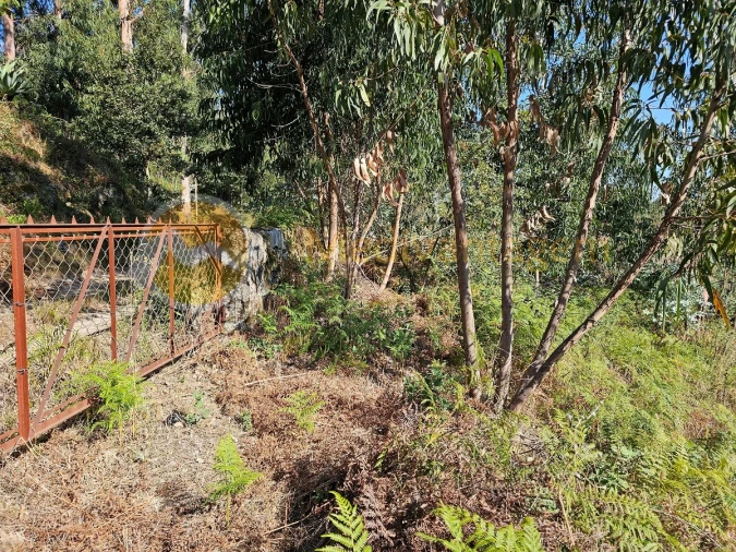 Moradia para Venda em Covelas Foto 13