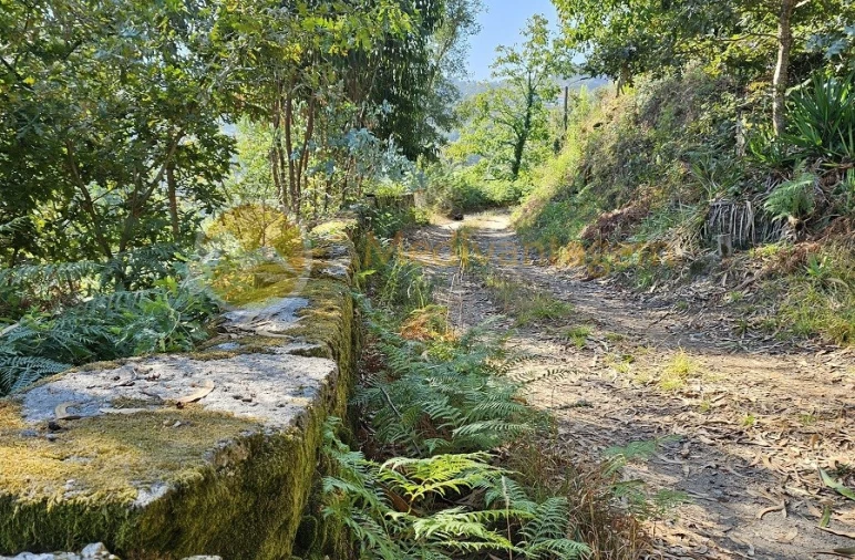 Moradia para Venda em Covelas Foto 16