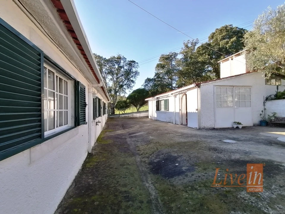 Quinta T14 para Venda em Bucelas Foto 11