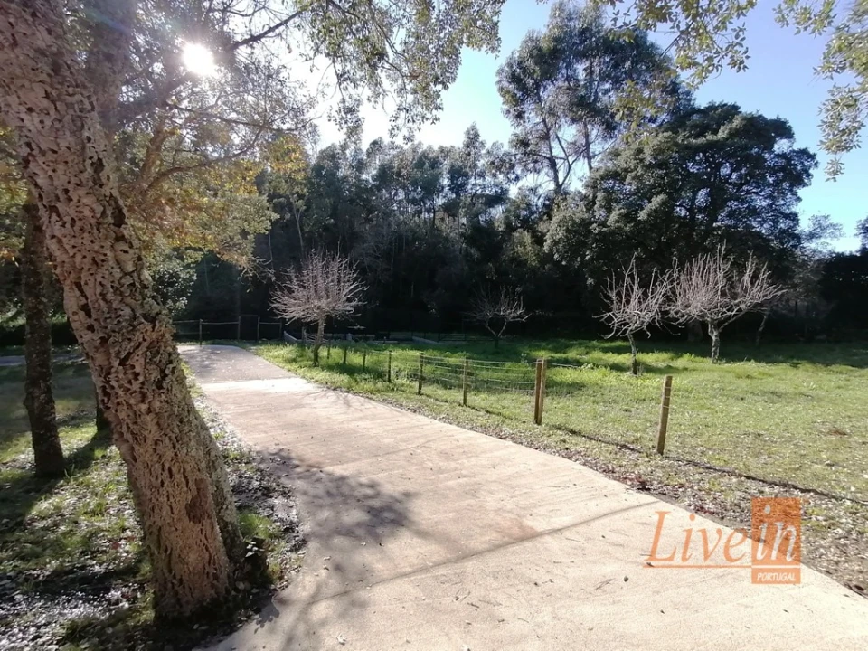 Quinta T14 para Venda em Bucelas Foto 22