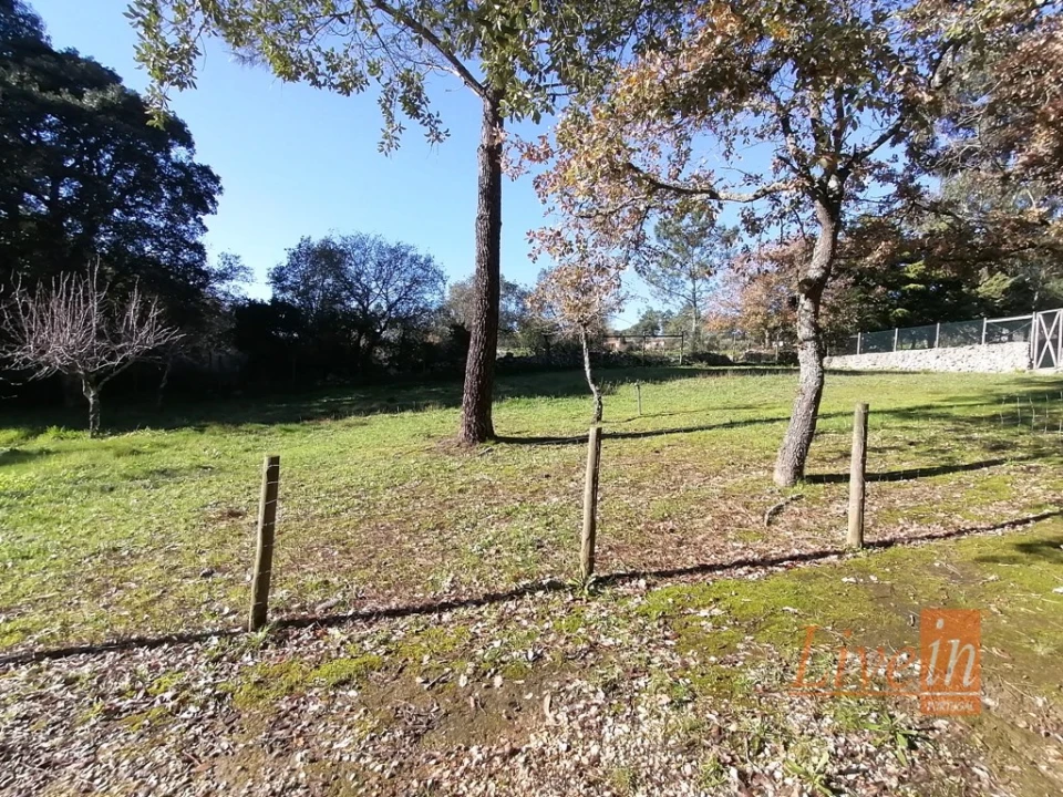 Quinta T14 para Venda em Bucelas Foto 23