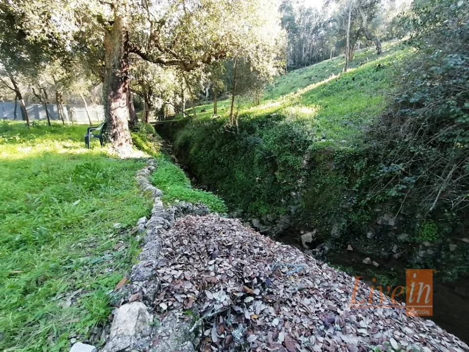 Quinta T14 para Venda em Bucelas Foto 24