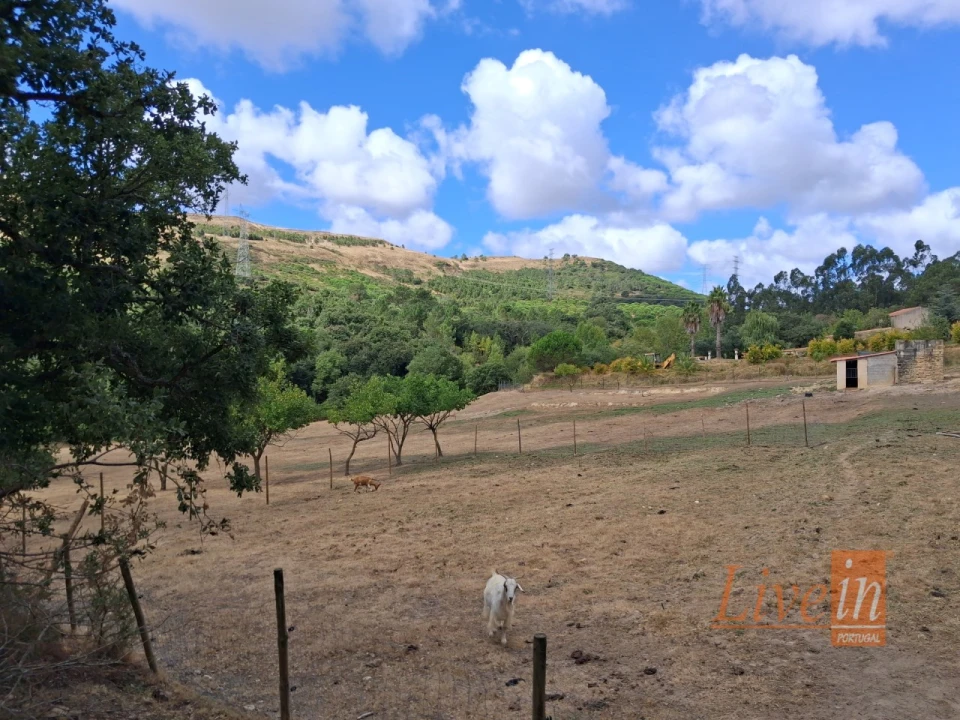 Quinta T14 para Venda em Bucelas Foto 42