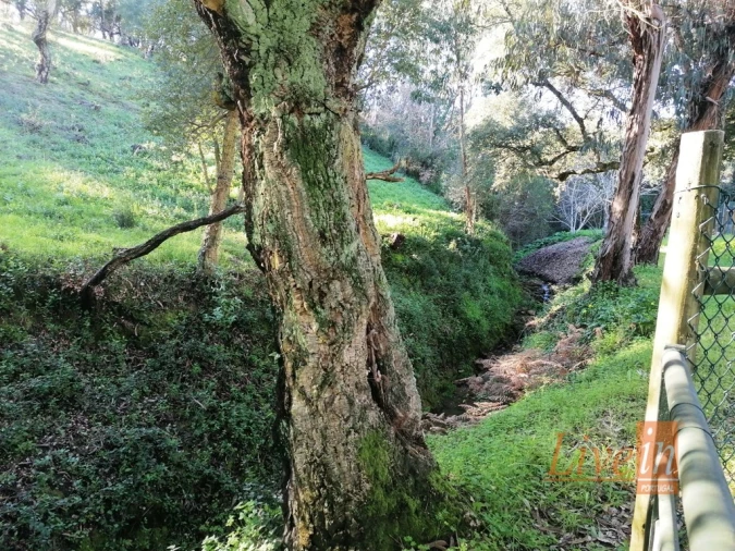 Quinta T14 para Venda em Bucelas Foto 26