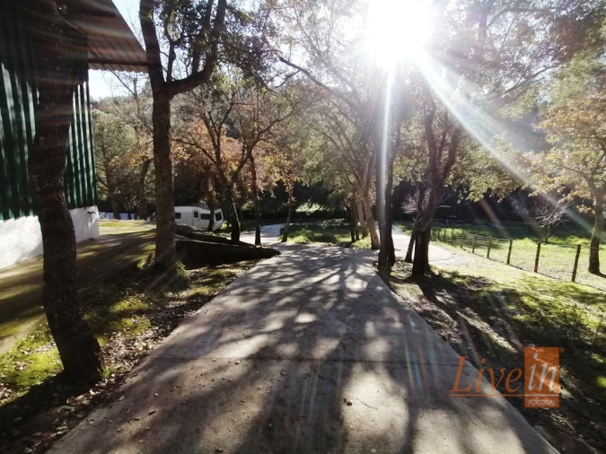 Quinta T14 para Venda em Bucelas Foto 29