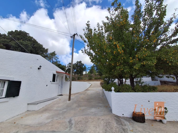 Quinta T14 para Venda em Bucelas Foto 50