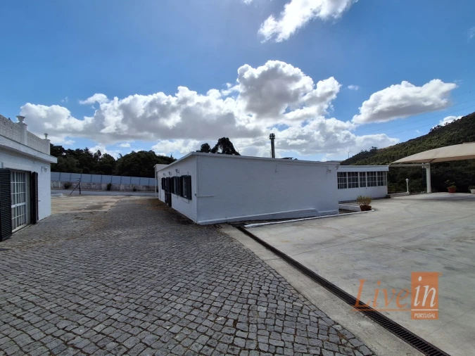 Quinta T14 para Venda em Bucelas Foto 55