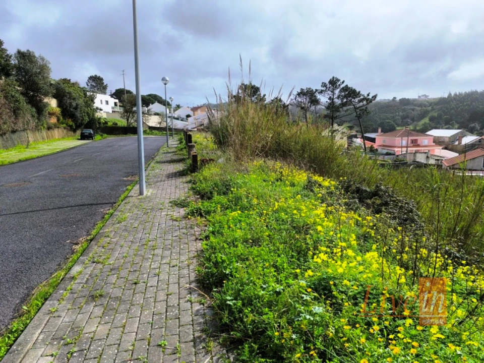 Terreno para Venda em Ericeira Foto 13