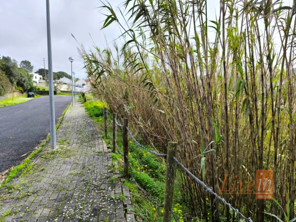 Terreno para Venda em Ericeira Foto 14
