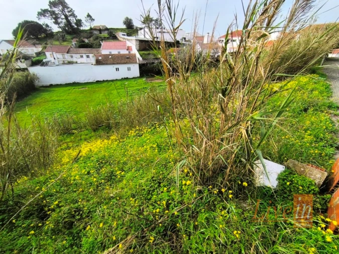 Terreno para Venda em Ericeira Foto 3