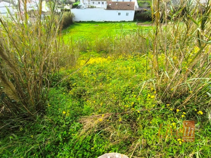Terreno para Venda em Ericeira Foto 11