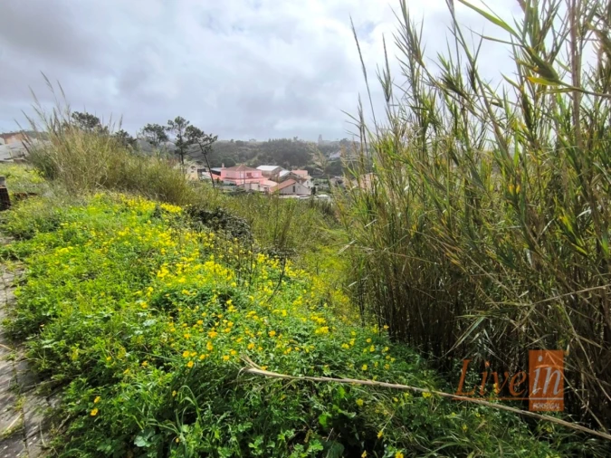 Terreno para Venda em Ericeira Foto 12