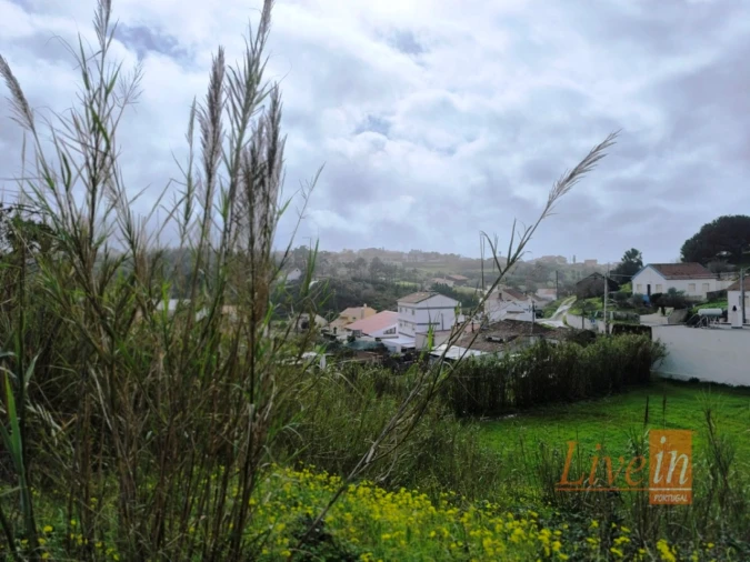 Terreno para Venda em Ericeira Foto 15