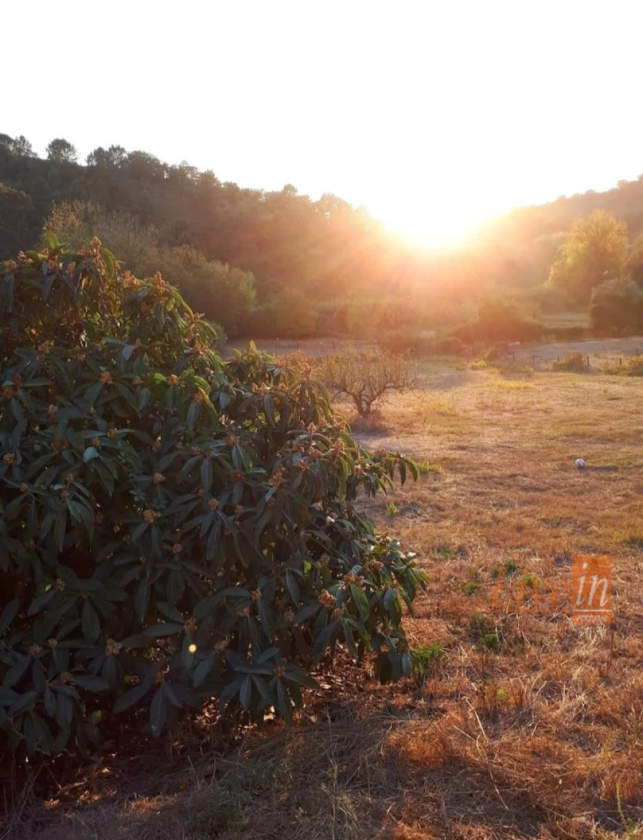 Terreno para Venda em Enxara do Bispo, Gradil e Vila Franca do Rosário Foto 3