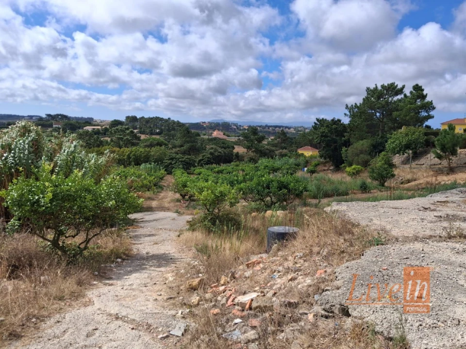 Moradia T4 para Venda em Mafra Foto 46