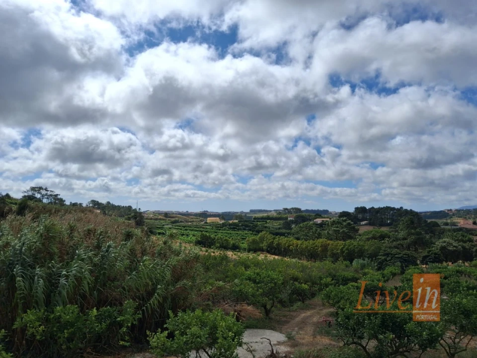 Moradia T4 para Venda em Mafra Foto 55