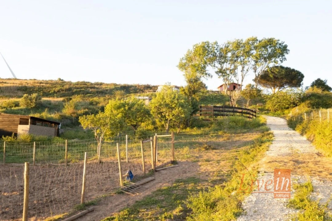 Moradia T2 para Venda em Enxara do Bispo, Gradil e Vila Franca do Rosário Foto 7