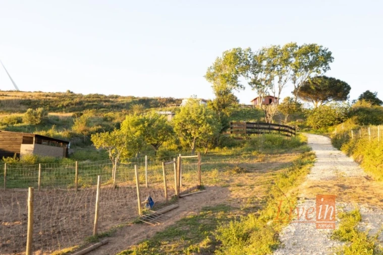 Quinta T2 para Venda em Enxara do Bispo, Gradil e Vila Franca do Rosário Foto 6