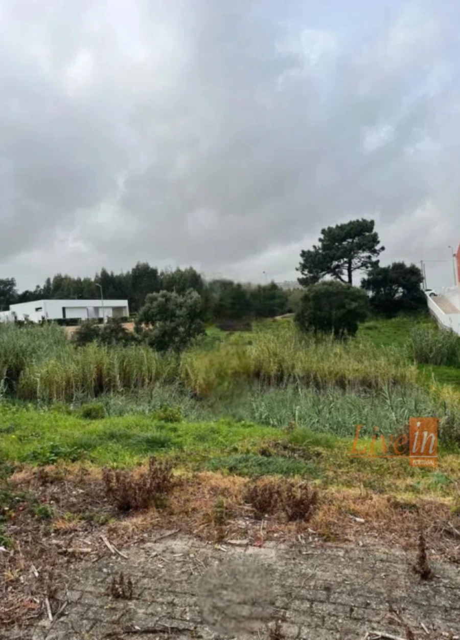 Terreno para Venda em Enxara do Bispo, Gradil e Vila Franca do Rosário Foto 3