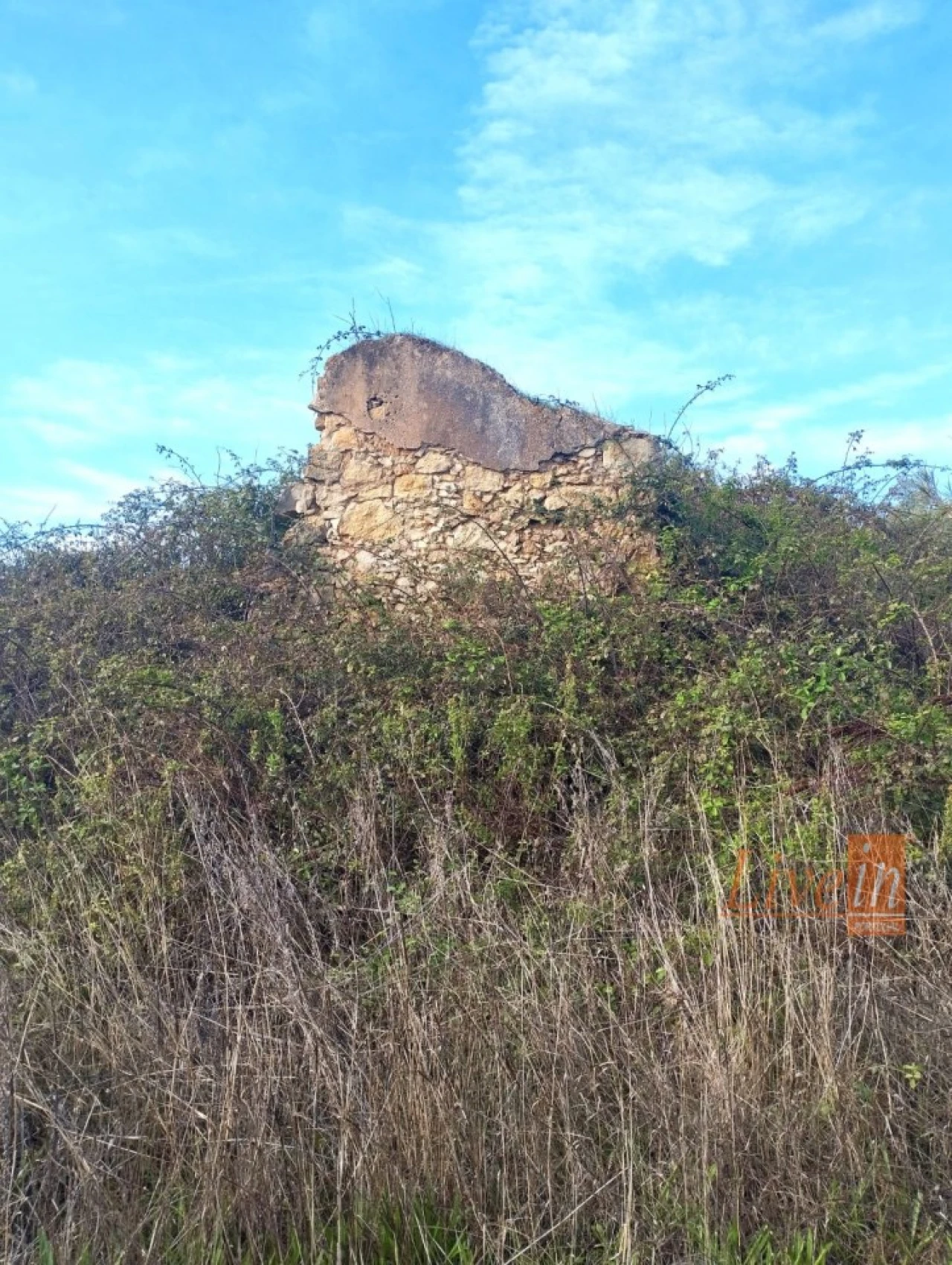Terreno para Venda em Abrigada e Cabanas de Torres Foto 6