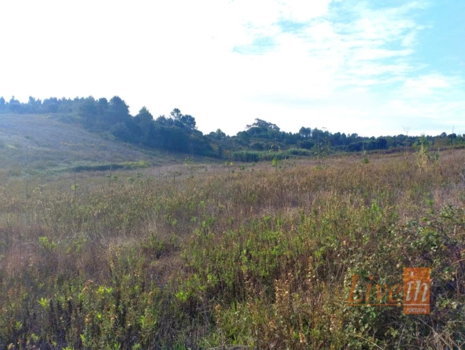 Terreno para Venda em Abrigada e Cabanas de Torres Foto 2