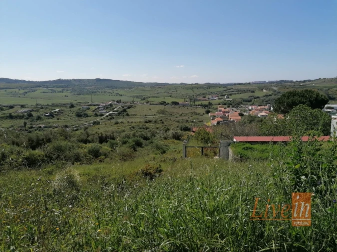 Terreno para Venda em Santa Maria e São Miguel, São Martinho, São Pedro Penaferrim Foto 3