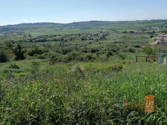 Terreno para Venda em Santa Maria e São Miguel, São Martinho, São Pedro Penaferrim Foto 2