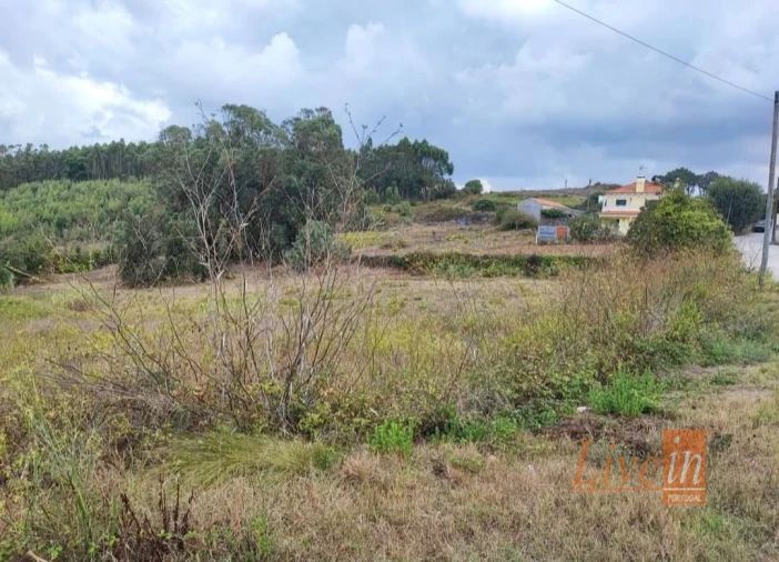 Moradia T3 para Venda em Igreja Nova e Cheleiros Foto 3