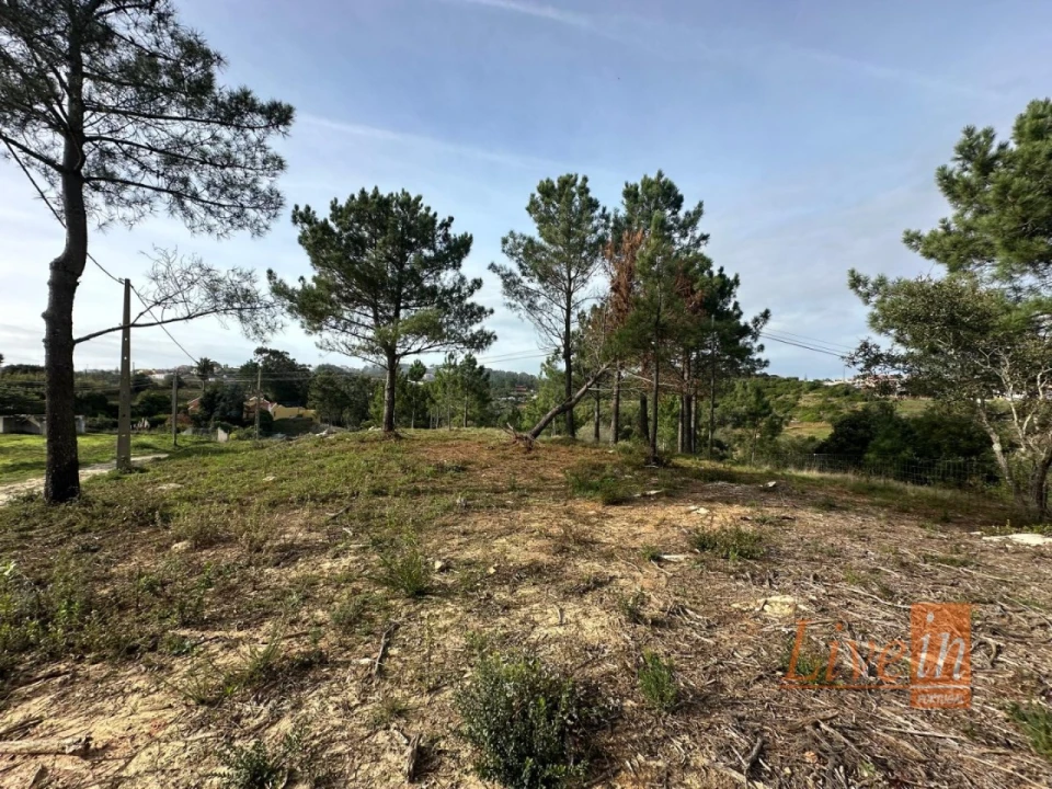 Terreno para Venda em Mafra Foto 1