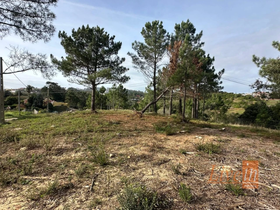 Terreno para Venda em Mafra Foto 4