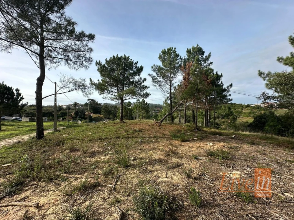Terreno para Venda em Mafra Foto 8