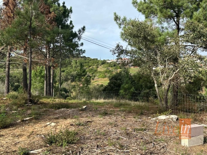 Terreno para Venda em Mafra Foto 2