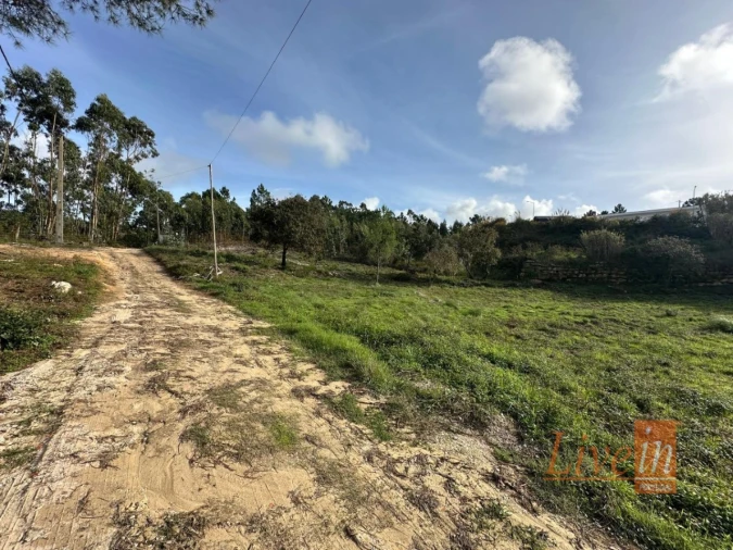 Terreno para Venda em Mafra Foto 3
