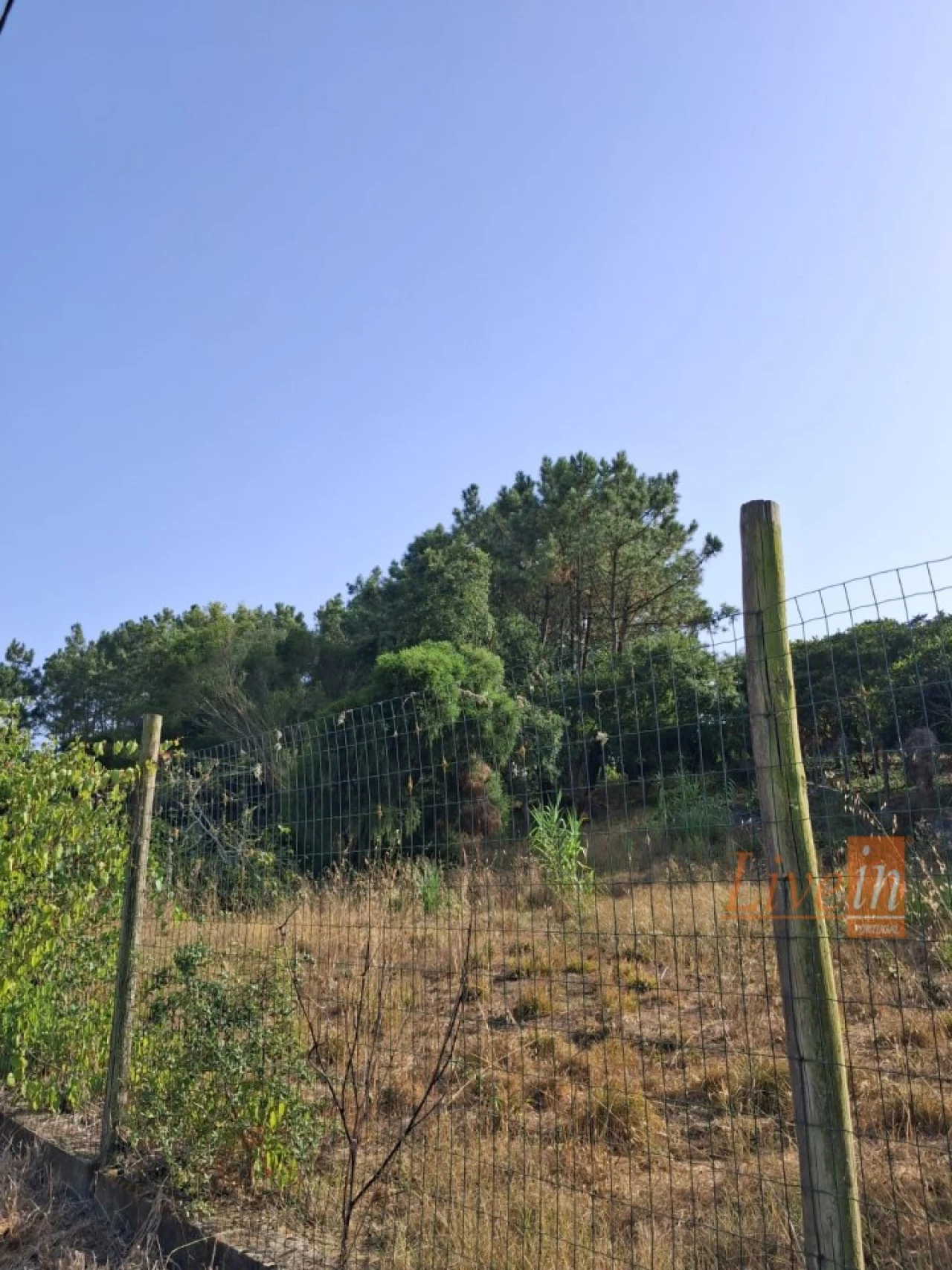 Moradia T5 para Venda em Santo Isidoro Foto 15