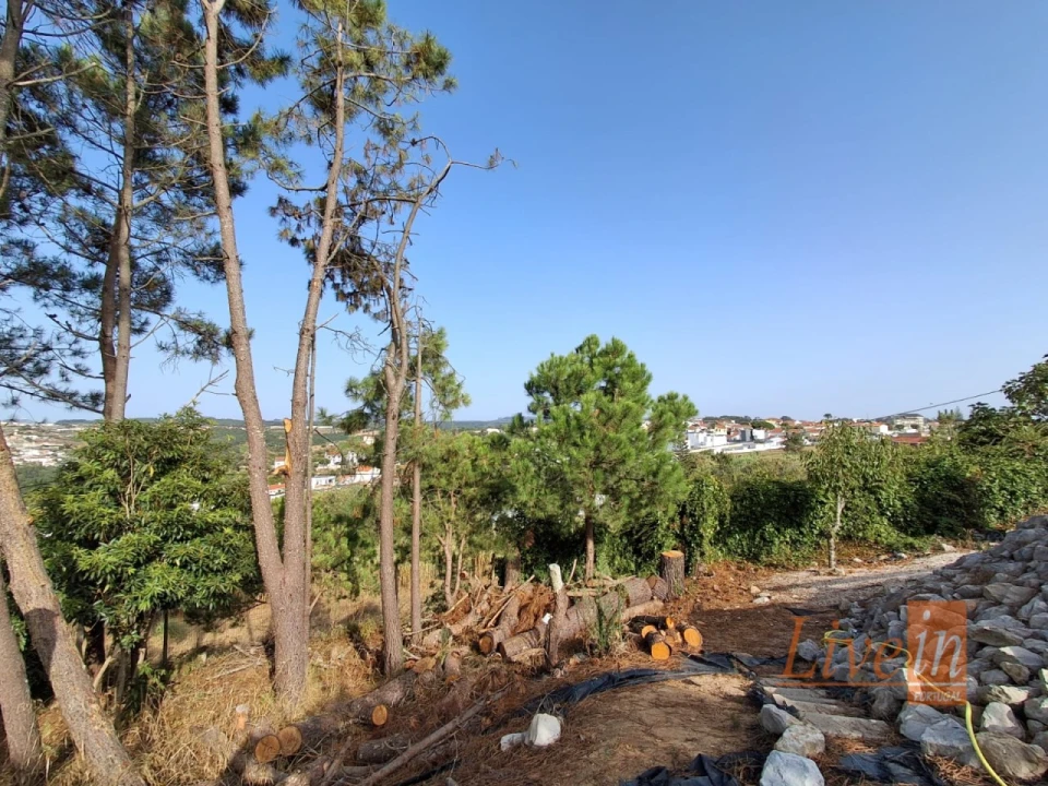 Moradia T5 para Venda em Santo Isidoro Foto 19