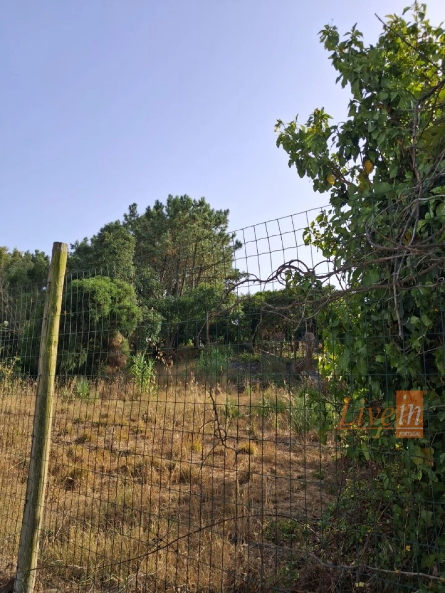 Moradia T5 para Venda em Santo Isidoro Foto 16