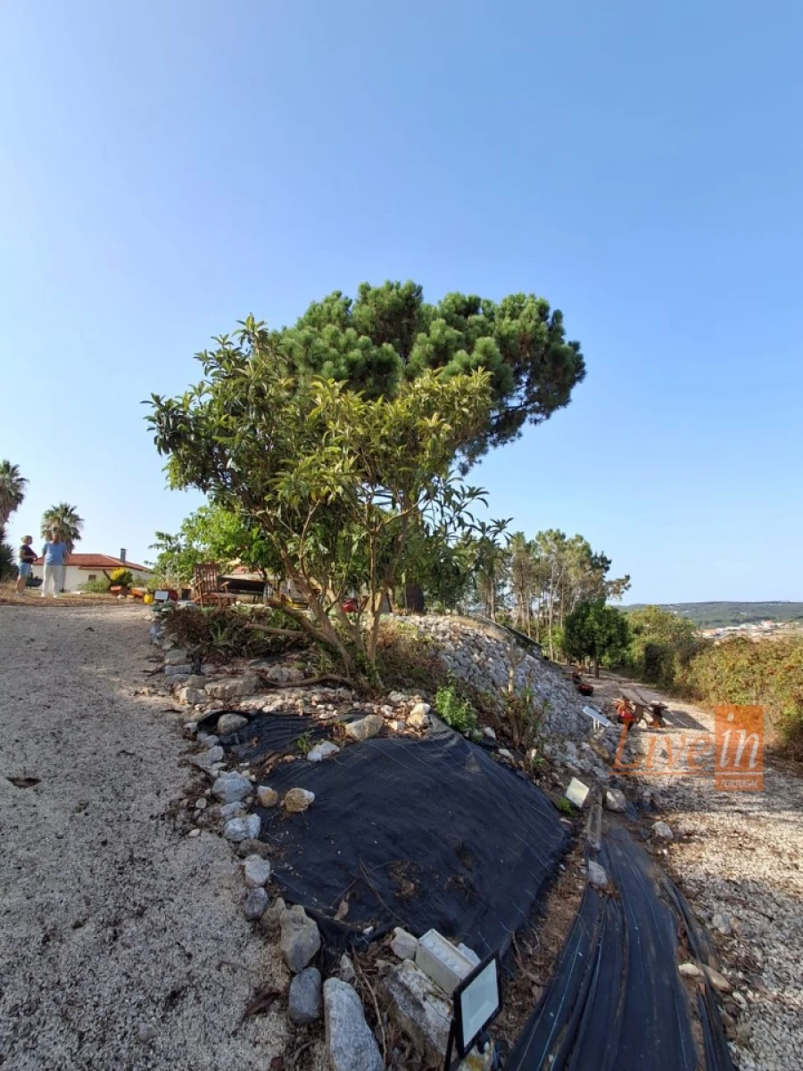 Moradia T5 para Venda em Santo Isidoro Foto 20