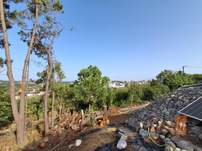 Moradia T5 para Venda em Santo Isidoro Foto 24