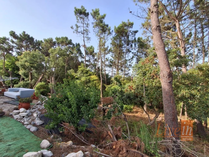 Moradia T5 para Venda em Santo Isidoro Foto 25