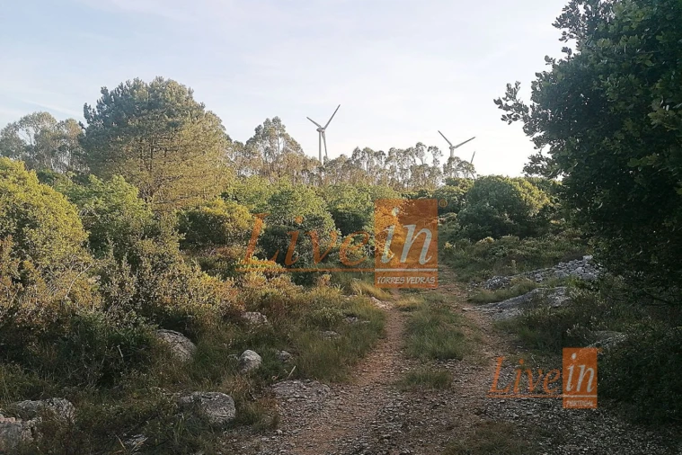 Terreno Agricola ou Rústico para Venda em São Bartolomeu dos Galegos e Moledo Foto 6