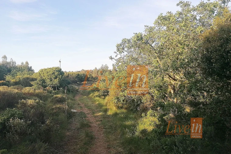 Terreno Agricola ou Rústico para Venda em São Bartolomeu dos Galegos e Moledo Foto 8