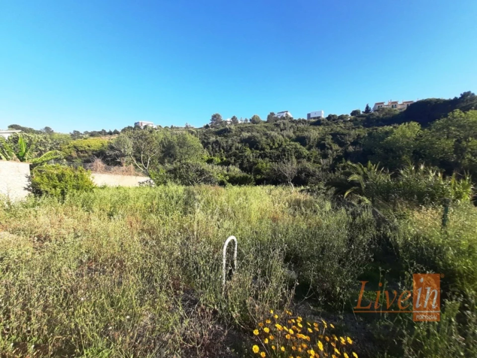 Moradia T4 para Arrendamento em Ericeira Foto 39