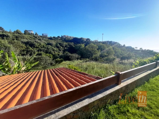 Moradia T4 para Arrendamento em Ericeira Foto 41