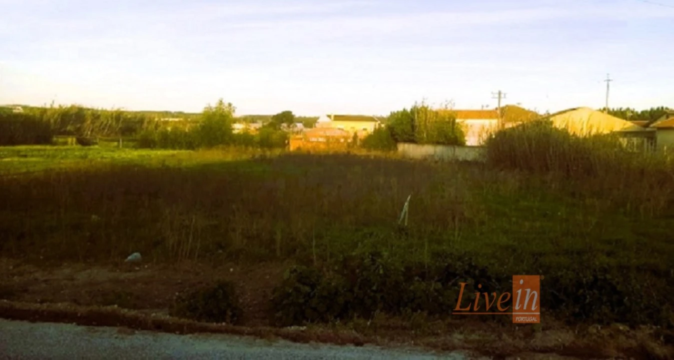 Terreno para Venda em Silveira Foto 5