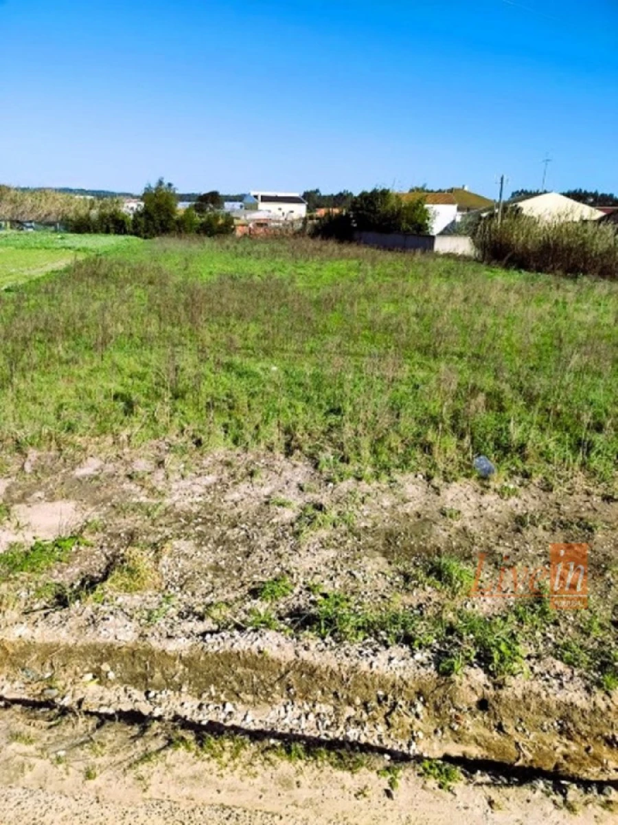 Terreno para Venda em Silveira Foto 4
