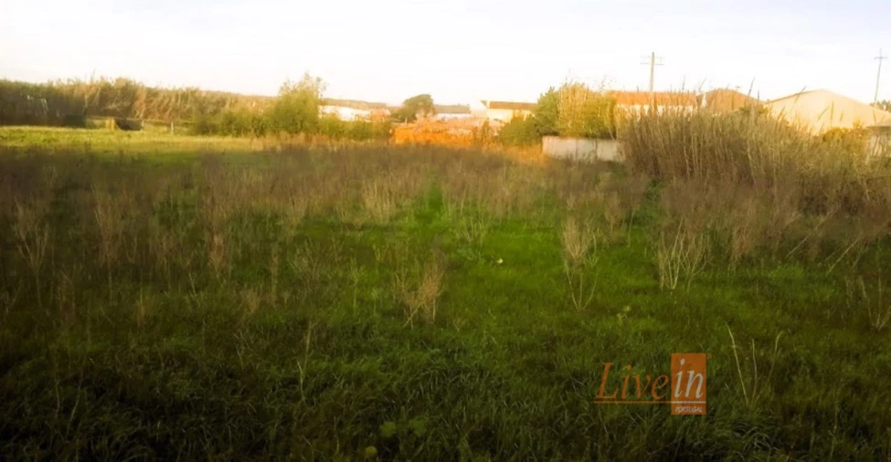 Terreno para Venda em Silveira Foto 6