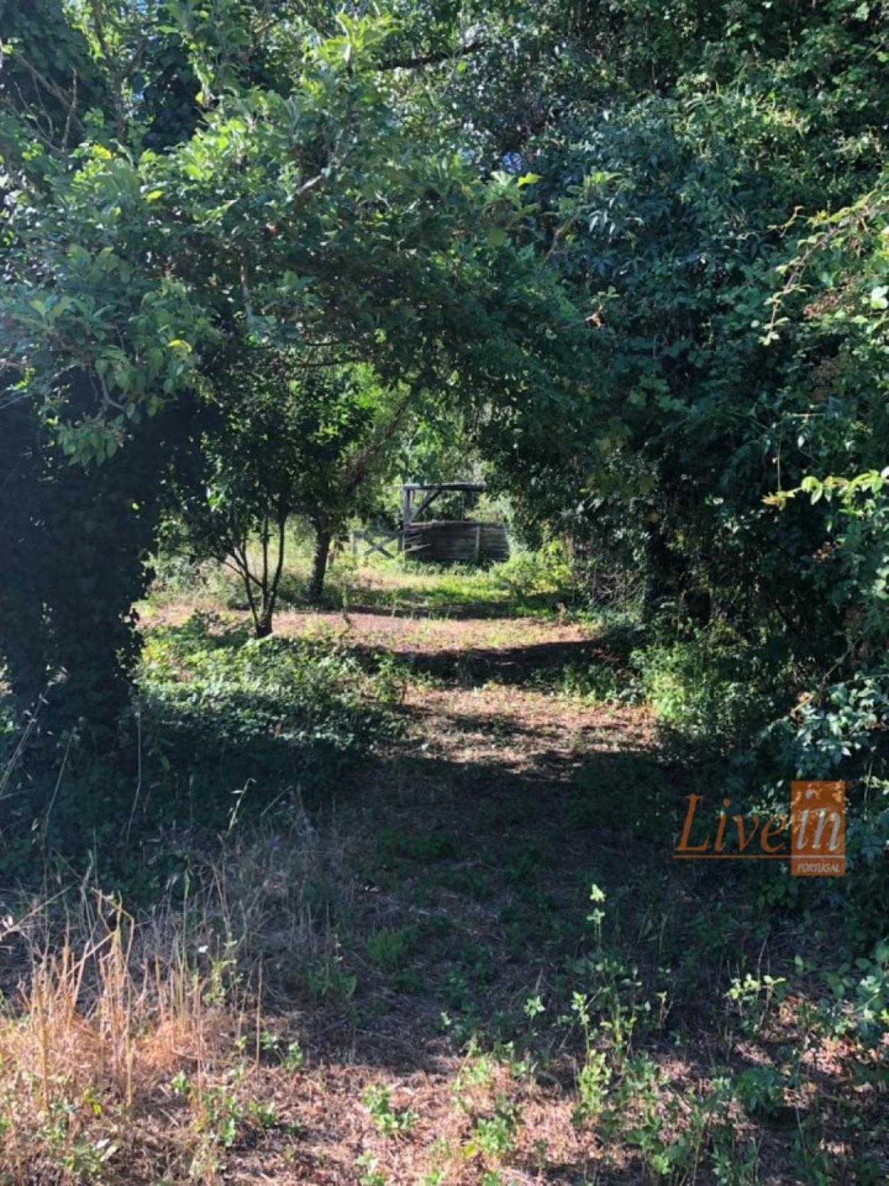 Moradia T4 para Venda em Ribafria e Pereiro de Palhacana Foto 5